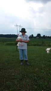 Talkin’ Turkey: Trip Leads to Unplanned Poultry Purchase Image